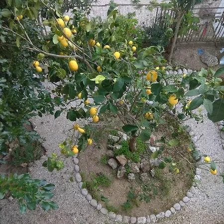 アパート Cp Residences