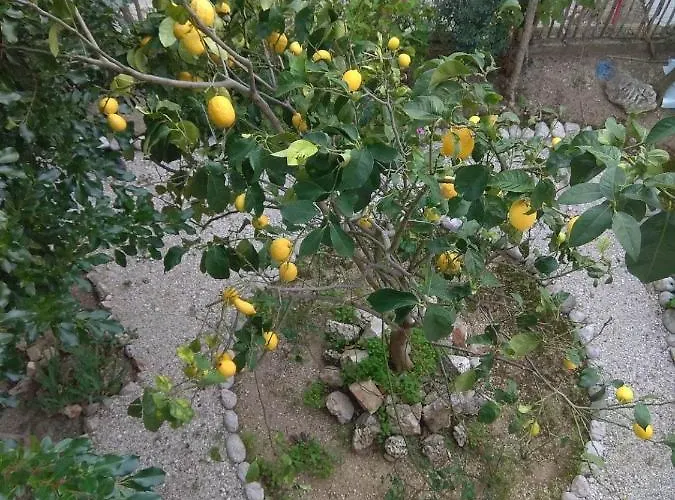 Apartmán Cp Residences