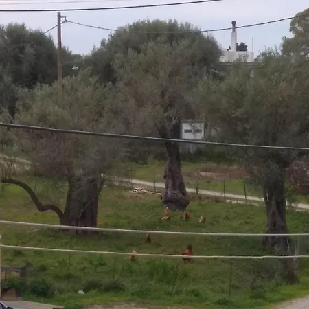 Cp Residences Daire *